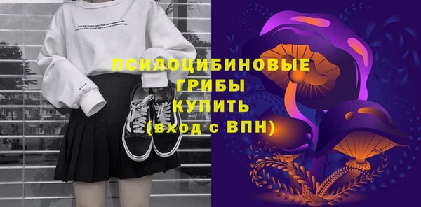 соль ск Алзамай
