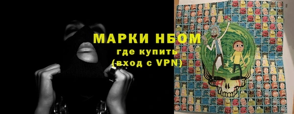 мет Ельня