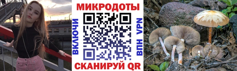 Галлюциногенные грибы мицелий  Алагир 